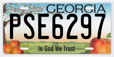 GA license plate PSE6297