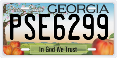 GA license plate PSE6299