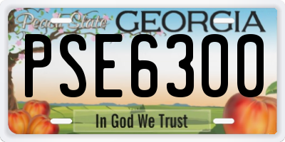 GA license plate PSE6300