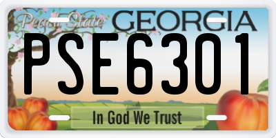 GA license plate PSE6301