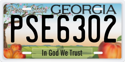 GA license plate PSE6302