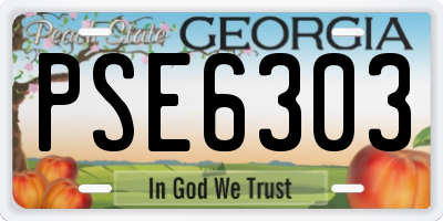 GA license plate PSE6303