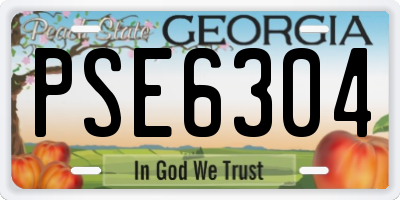GA license plate PSE6304