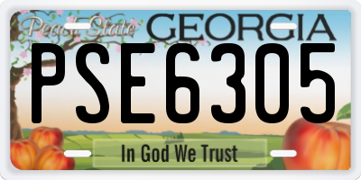 GA license plate PSE6305