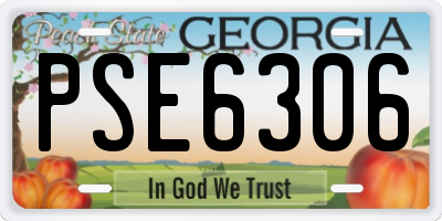 GA license plate PSE6306