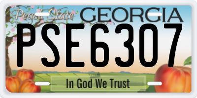 GA license plate PSE6307