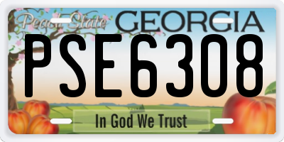 GA license plate PSE6308