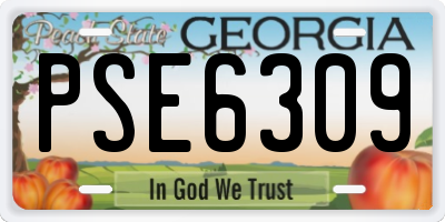GA license plate PSE6309