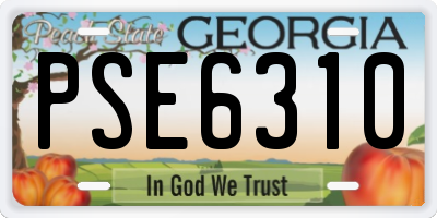GA license plate PSE6310