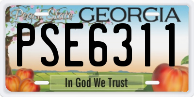 GA license plate PSE6311