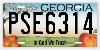 GA license plate PSE6314
