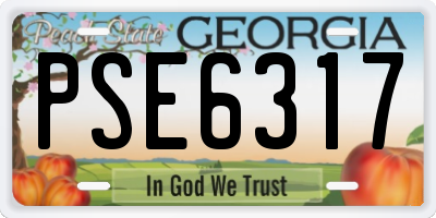 GA license plate PSE6317
