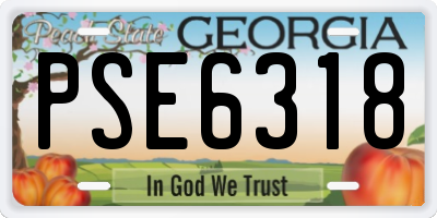 GA license plate PSE6318