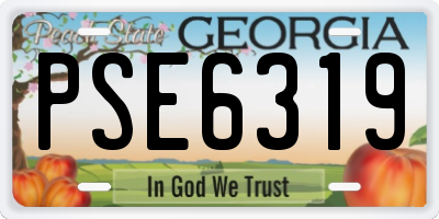 GA license plate PSE6319