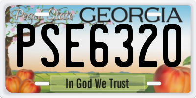 GA license plate PSE6320