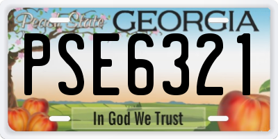 GA license plate PSE6321