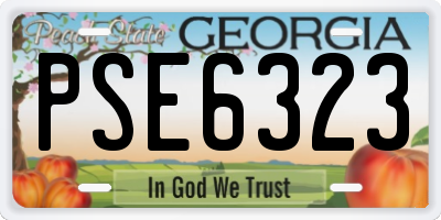 GA license plate PSE6323