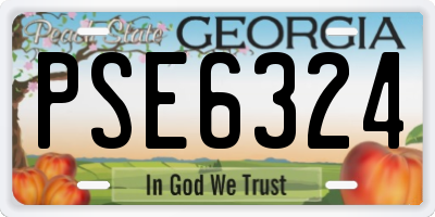 GA license plate PSE6324