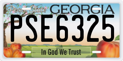 GA license plate PSE6325