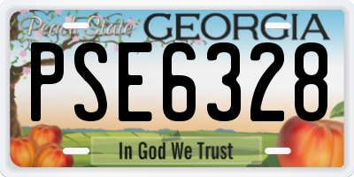GA license plate PSE6328