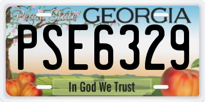 GA license plate PSE6329