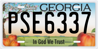 GA license plate PSE6337