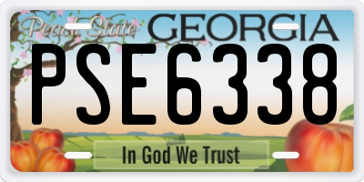 GA license plate PSE6338