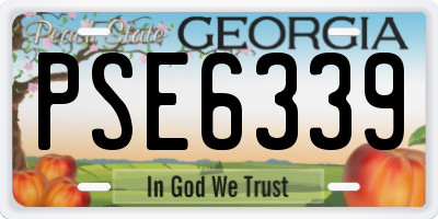 GA license plate PSE6339
