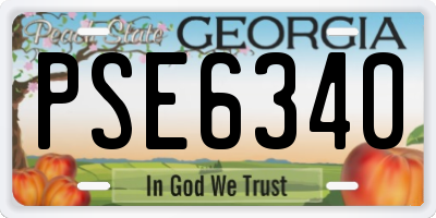 GA license plate PSE6340