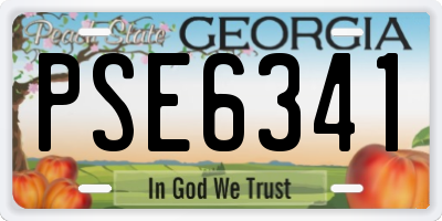 GA license plate PSE6341