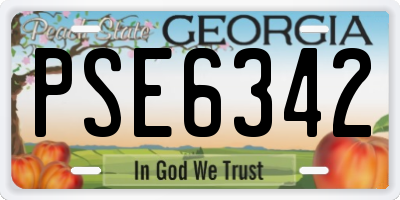 GA license plate PSE6342