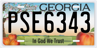 GA license plate PSE6343