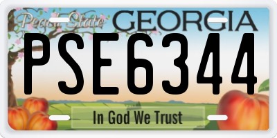 GA license plate PSE6344