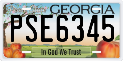 GA license plate PSE6345