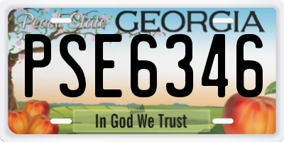 GA license plate PSE6346