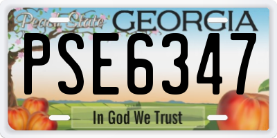 GA license plate PSE6347