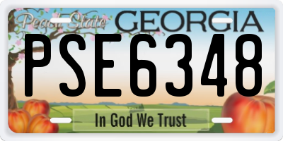 GA license plate PSE6348