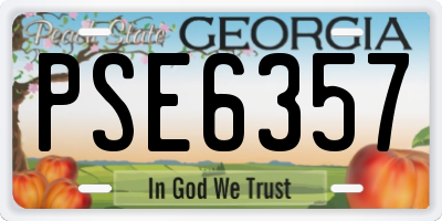 GA license plate PSE6357