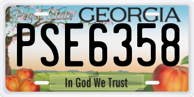 GA license plate PSE6358