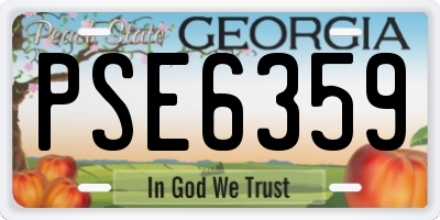 GA license plate PSE6359