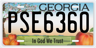 GA license plate PSE6360