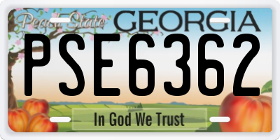 GA license plate PSE6362
