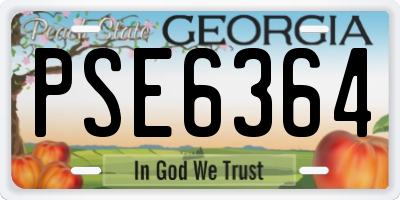 GA license plate PSE6364