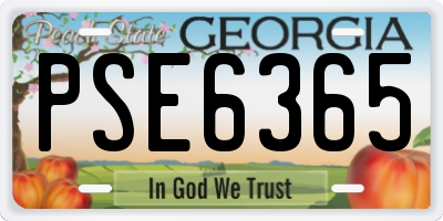 GA license plate PSE6365