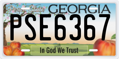 GA license plate PSE6367