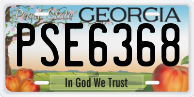 GA license plate PSE6368