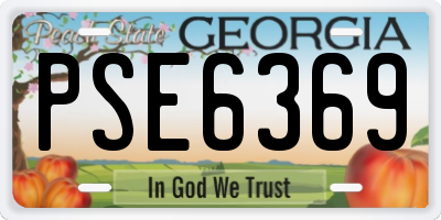 GA license plate PSE6369