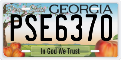 GA license plate PSE6370