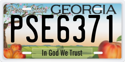 GA license plate PSE6371
