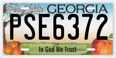 GA license plate PSE6372